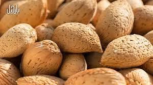 تصویر 1 از بادام درختی مرغوب + فروش به قیمت خرید